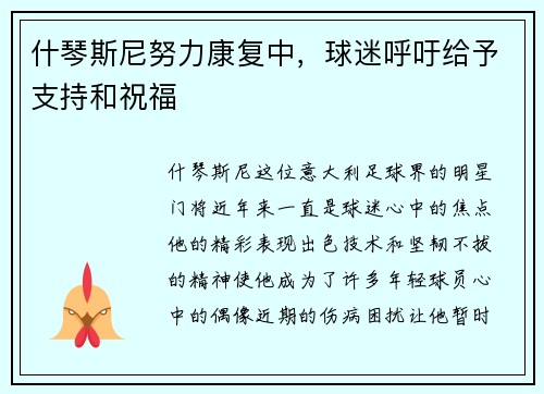 什琴斯尼努力康复中，球迷呼吁给予支持和祝福