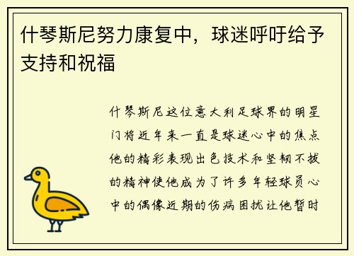 什琴斯尼努力康复中，球迷呼吁给予支持和祝福